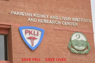 PKLI Rawalpindi Jobs 2025