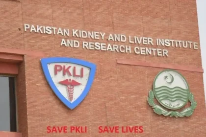 PKLI Rawalpindi Jobs 2025
