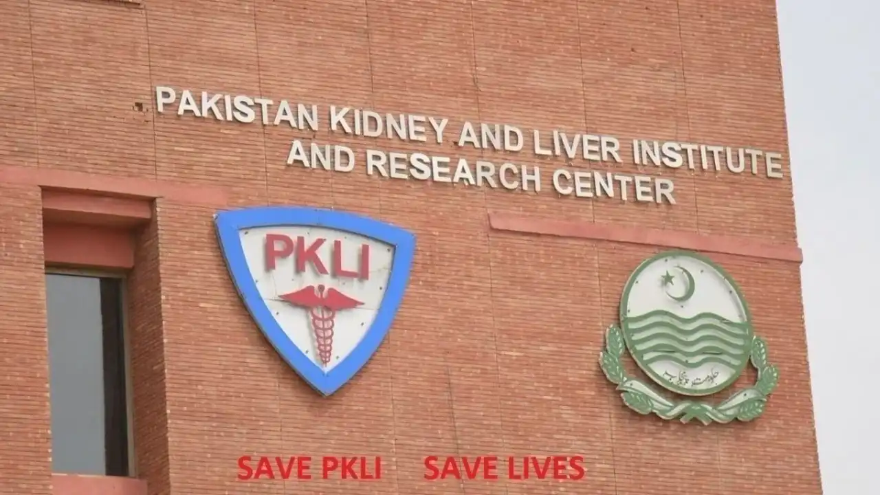 PKLI Rawalpindi Jobs 2025